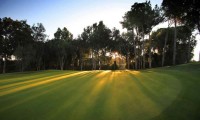 sueno pines golf course